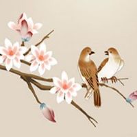 生辰八字与车牌号码测吉凶 车牌号525吉利吗