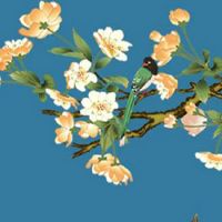 怎么查自己的正缘 正缘只有一个吗 看八字属性查正缘