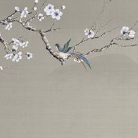 哪几个星座最懂事最善良?赶紧来看看,现在知道还不晚!