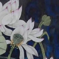 手机尾号不能选数字7 最新招财旺运的手机数组