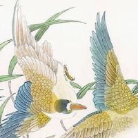 号码数字能量对照表 磁场能量大吉旺运的手机号码