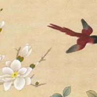 八字看正缘桃花运势 学会看桃花有异性缘