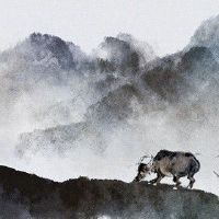 2022年农历八月属牛人考试运气如何 提高效率集中精力