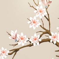 369是五鬼车牌吗 六六大顺的车牌数字盘点