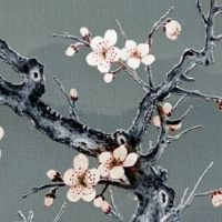 52数字吉凶如何 寻找最吉祥的车牌字母