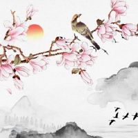 2022年12月24日出生属虎男宝宝是什么命 生活美好 事业成功