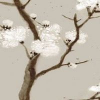 车牌尾号k的美好寓意 五行旺的车牌颜色数字