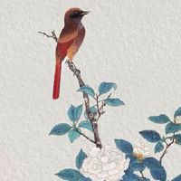 偏财格女命都生在穷家 桃花运多挑花眼