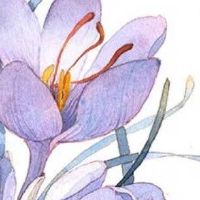 二手车行名字大全吉利的 高端有创意旺店起名