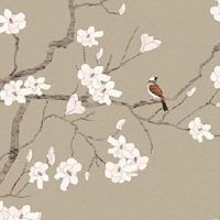 2013年属蛇女命运好不好 生肖蛇女一生运势详解