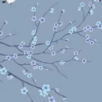 生肖虎2022年12月上等提车好日子 提车的吉利日期