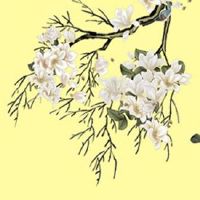 女命中有4朵正缘桃花 命中带有几朵正缘桃花好