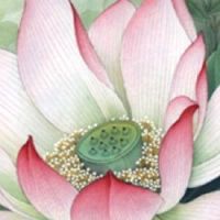 属虎和属羊能不能在一起 婚配和谐美满