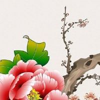 属羊的女人嫁给属虎的怎么样 在一起需要注意什么