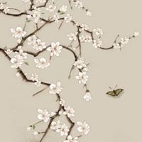 车牌号986好吗 车牌号码凶吉对照大全