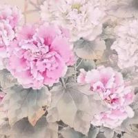 属猪手机号后四位几最好 转运富贵的旺猪号码