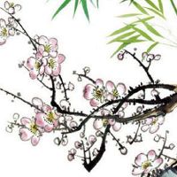 煤炭贸易公司取名字大全 旺财的贸易企业起名