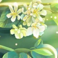 家具商标洋气点的名字大全 新店洋气时尚起名