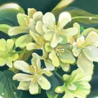 三个字的洋气商标名字 旺财好听店面名字