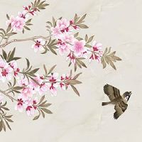 女命申子辰三合水局 申子辰三合水局的特征