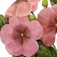 关于家具的店名 有内涵吉利店铺取名