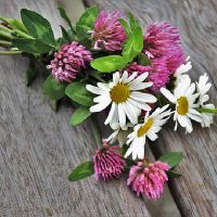 为什么开门见水龙头破财 有什么办法化解