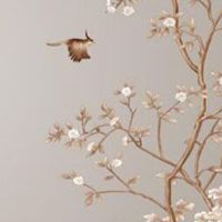 摩托车牌照字母代表啥 摩托车选车牌技巧