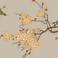 2023年1月21日出生的男孩命苦不苦,八字五行看你命运走向