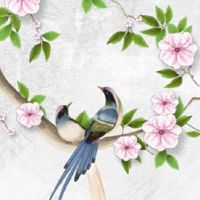 怎么算出两个人有没有缘分 有缘分会越来越有默契