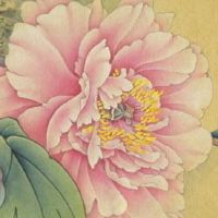 车牌号66什么意思 最新吉祥招财车牌数字