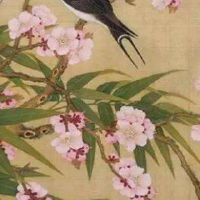 手机号码最好的磁场 手机测磁场的方法有哪些