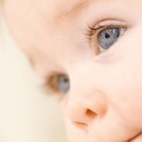 虎年起名 2022虎宝宝取名大全