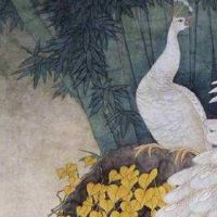 手机号码磁场能量测试 数理吉祥旺运的尾号数组