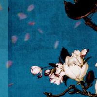 1985年的牛过了37岁生日后命运如何 迎来新的高峰时刻