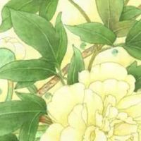 75年属兔最佳手机号码 生肖兔转运发财的手机号码