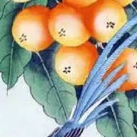 手机尾号6831磁场 富贵招财的手机尾数组合