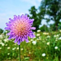 有偏财运的是什么样的八字