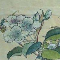 数字能量学5象征什么 寓意美好开运的手机号组