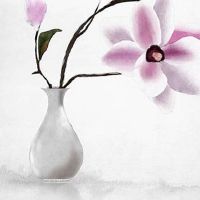 车牌号带711的号好不好 双1组合带来加倍吉利