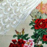 513和135数字磁场能量 最强能量添财的手机尾数