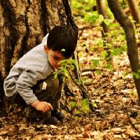 寓意生命力顽强的名字男孩