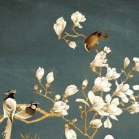 必有情人的女命八字 什么八字女命婚姻幸福