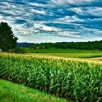 2022年10月份出生的男宝宝五行取名适合取什么名字