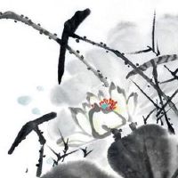 选车号怎样能选到好号 7开头车牌号好吗