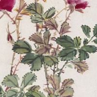 集团取什么名字好 好听的集团公司的名字