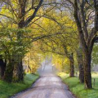 对恋人最慷慨的星座男有谁