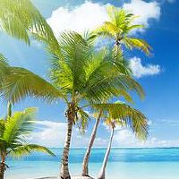 太阳双子月亮处女性格特点 优缺点解析