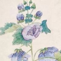 生辰八字测一生几段婚姻 测命里有几次婚姻