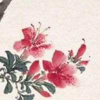 女人天医数字号码磁场 旺桃花走好运的手机靓号