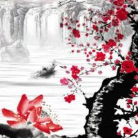 厨房灶台十大禁忌 厨房装修忌讳